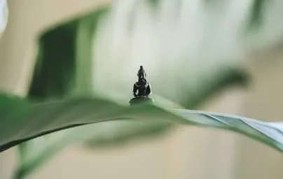 以专业数据助您洞悉赛事，把握竞猜先机 - 世界杯竞猜